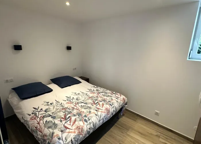 Appartement Moderne Et Confort